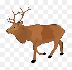 Standing Moose Clipart Png Image - ClipartFlare | Free Transparent Cc0 ClipartFlare.com 