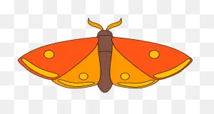 Moth Clipart. Free Download Transparent .png | ClipartFlare