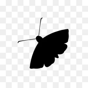 Mission Control: Moth Lands, Programs Saved | Npr Illinois