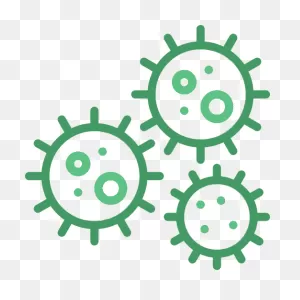 Kill Mold: Mold Remediation & Testing, Disinfection Services: Egg ClipartFlare.com 