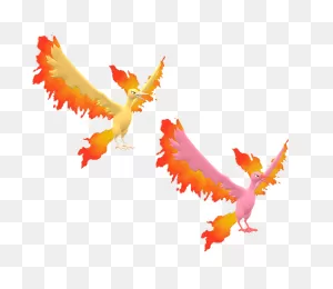 3Ds - Pokémon X / Y - #146 Moltres - The ClipartFlare