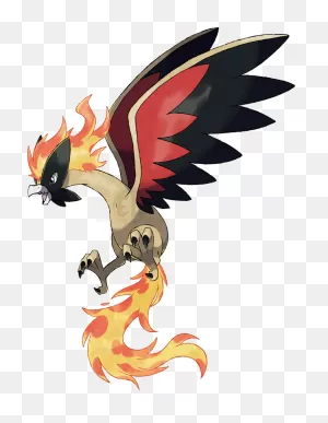 Mega Moltres | Pokemon, Evoluções Eevee, Desenhos