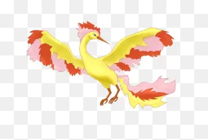 Pokemon: Moltres By Suomen-Ukonilma On 
