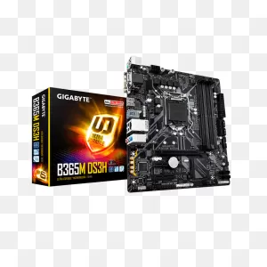 Gigabyte B365M Ds3H Intel B365 Chipset Lga 1151 Hdmi Microatx ClipartFlare.com 
