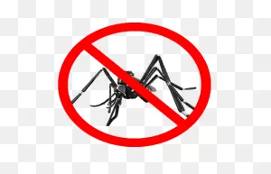 Mosquito Png Transparent Images | Png All