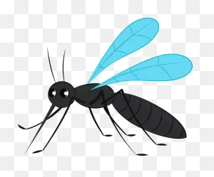 Mosquito Clipart - Png Download - Full Size Clipart (#5287859 ClipartFlare.com 