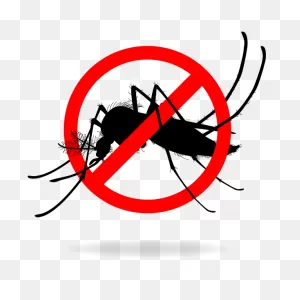 Mosquito Insect Clipart. Free Download Transparent .png | ClipartFlare