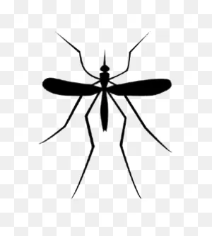 Top Mosquito Control & Treatment Company Near Me - Nextgen Pest ClipartFlare.com 