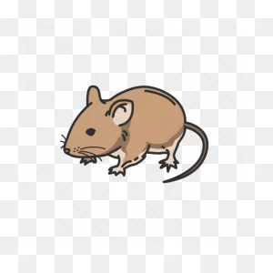 Animals, House Mouse, Mammal, Mouse, Pest, Pet, Rodent Icon ClipartFlare.com 