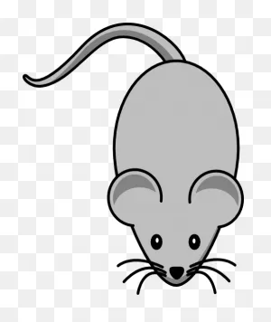 Download Grey Clipart Mouse Animal - Clipart Mouse - Full Size Png ClipartFlare.com 