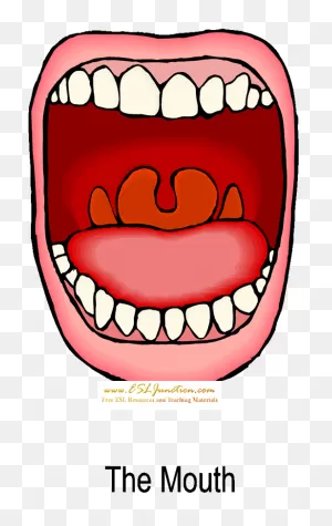 Download Cartoon Mouth Orange Tongue - Scared Mouth Clipart Png ClipartFlare.com 