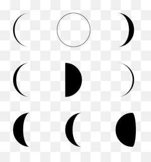 Moon Phase - Moon Phases Vector - (600X564) Png Clipart Download
