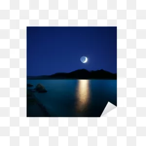Moonlight Sticker • Pixers® - We Live To Change