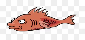 Mullet (Disambiguation) | Club Penguin Wiki | ClipartFlare