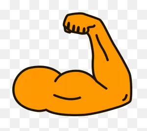 Muscle Clipart. Free Download Transparent .png | ClipartFlare
