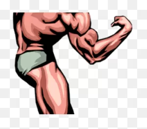 Download Hd Muscle Man Clip Art Transparent Png Image - ClipartFlare ClipartFlare.com
