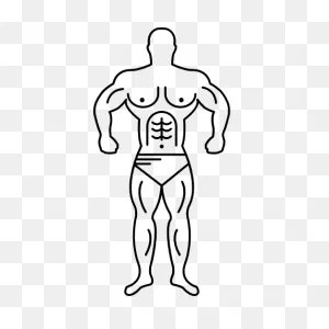 Muscular Man, Bodybuilder, Bodybuilder Outline, People, Muscular ClipartFlare.com 