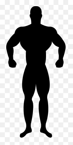Muscular Silhouette Png - Muscle Man Vector Png Clipart - Large ClipartFlare.com 