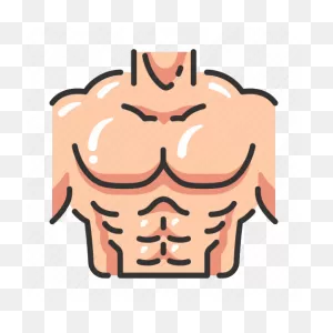 Anatomy, Body, Chest, Exercise, Fitness, Muscle, Strong Icon ClipartFlare.com 