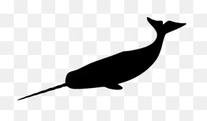 20  Free Narwhal & Animal Images