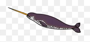 Narwhal Clip Art | ClipartFlare - Free Clipart Images | Art ClipartFlare.com 