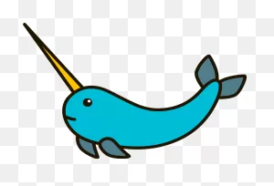 Narwhal Clipart. Free Download Transparent .png | ClipartFlare