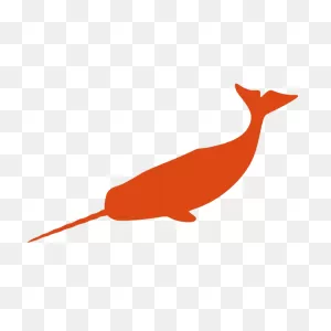 Narwhal Clipart. Free Download Transparent .png | ClipartFlare