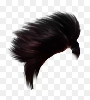 Cb Hair Png For Picsart Editing Latest 50  New Hair Png Download ClipartFlare.com 