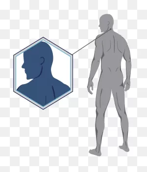 Neck Pain: Symptoms, Causes, Pain Relief - Relax The Back