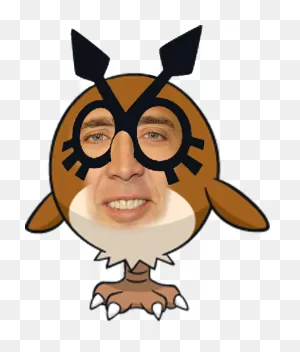 Nicolas Cage Hoothoot By Nicktonyous On 