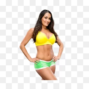 Nikki Bella Png (1) By Wwe-Womens02 On 