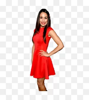 Nikki Bella Png Image Background | Png Arts