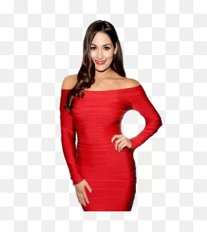 Nikki Bella Png Photo | Png Arts