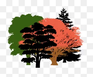 Download Get Free High Quality Hd Wallpapers Oak Tree Silhouette ClipartFlare.com 