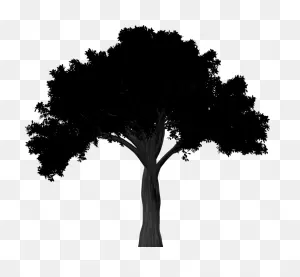 Oak Tree Silhouette Png Clipart - Full Size Clipart (#2829917 ClipartFlare.com 