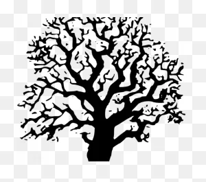 Oak Tree Pictures Free Clipart Oak Tree Iggyoblomov - Png ClipartFlare.com 