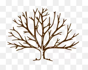 Oak Tree Silhouette With Roots - Free Clipart Images - Clipart ClipartFlare.com 