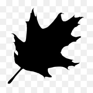 Oak Leaf Silhouette Clip Art At ClipartFlare ClipartFlare.com - Vector Clip Art Online ClipartFlare.com 