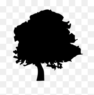 Tree Silhouette Northern Red Oak Clip Art - Tree Png Download ClipartFlare.com 