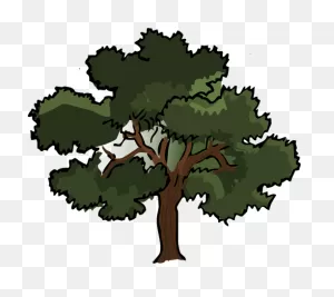 Vector Clip Art Of Wide Oak Tree | Public Domain Vectors