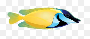 Download Ocean Fish Picture Hq Png Image | ClipartFlare