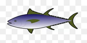 Fish Ocean Sea Life - Free Vector Graphic On ClipartFlare