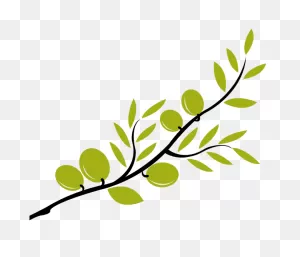Olive Branch Illustration | Branch Drawing, Olive Branch, Clip Art