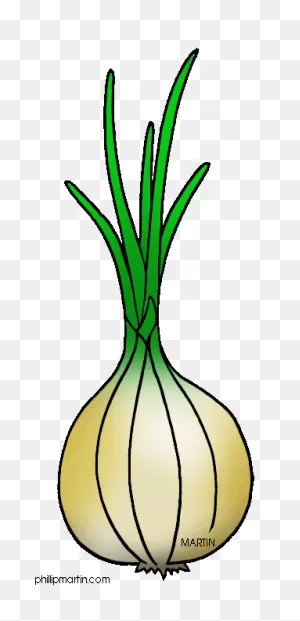 Download Bitmap Clipart Onion - Onion - (822X567) Png Clipart Download