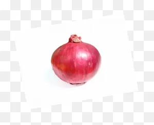 Onion Clipart. Free Download Transparent .png | ClipartFlare