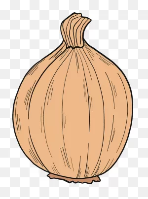 Onion 20Clipart ClipartFlare Free Clipart Images #ew0Aq8 ClipartFlare.com 