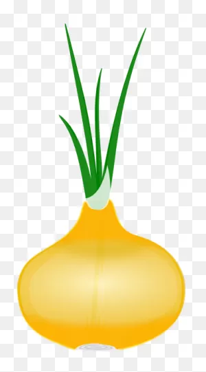 Onion Clip Art (112577) Free PNG-WebP Download / 4 Vector