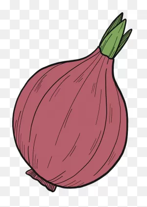 Onion Clipart. Free Download Transparent .png | ClipartFlare