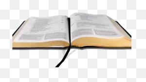 Ivy Clipart Open Bible - Open Bible Transparent Background - Png ClipartFlare.com 