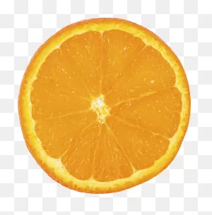 Fruit Orange Slice - Free Photo On ClipartFlare